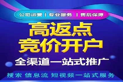 提升网站流量与转化率的关键——关键词竞价排名案例